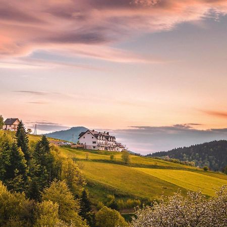 Blizej Nieba Bed & Breakfast Skrzydlna Exterior foto