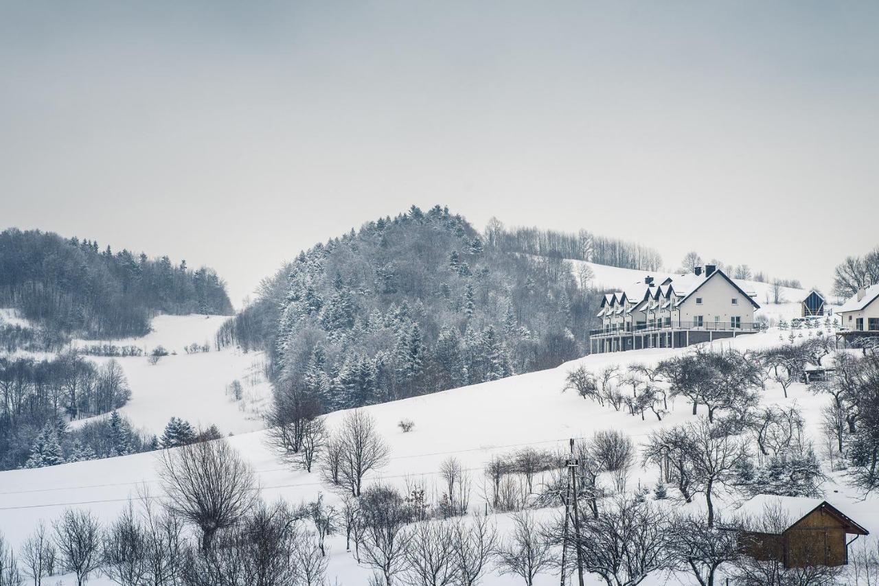 Blizej Nieba Bed & Breakfast Skrzydlna Exterior foto
