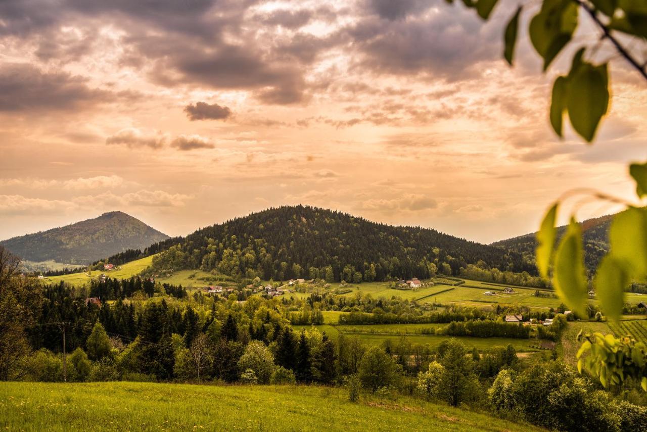 Blizej Nieba Bed & Breakfast Skrzydlna Exterior foto