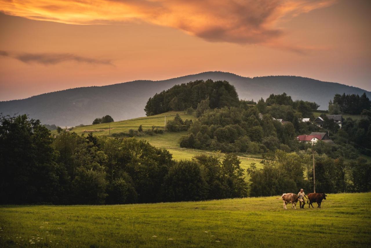 Blizej Nieba Bed & Breakfast Skrzydlna Exterior foto